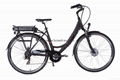 Electric Bicycle for Europe Market