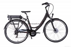 Electric Bicycle for Europe Market