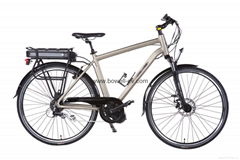 Electric Alloy Bicycle