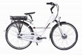 China Electric bicycle