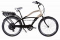 Electric City Bike