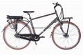 Electric Lady Bicycle  1