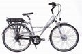 Electric Bicycle