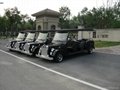 8-seat electric Vintage carts