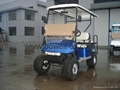 2-seat Electric Golf Cars 3