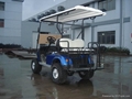 2-seat Electric Golf Cars 5