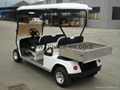 Electric Golf car with Utility Box 
