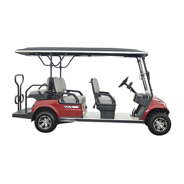 6-seat golf carts 2