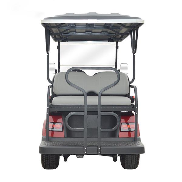 6-seat golf carts 3