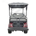 6-seat golf carts 3