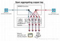 Tap Solutions（分路器） 4