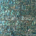 green abalone shell tile mounted on