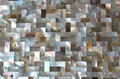  herringbone pattern Brownlip mother of pearl Tiles