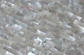 whitelip ocean mother of pearl mosaic