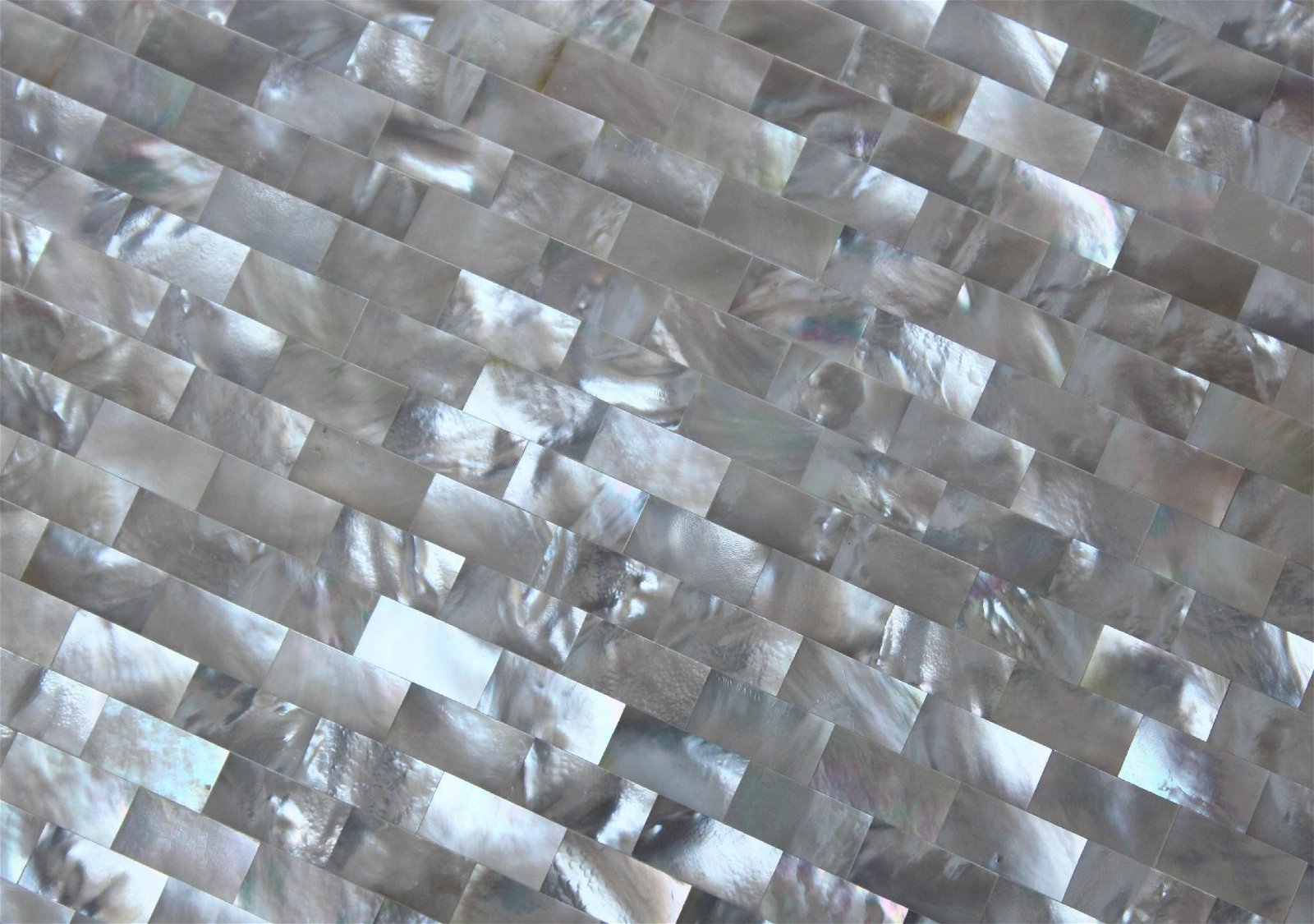 whitelip ocean mother of pearl mosaic tile 2