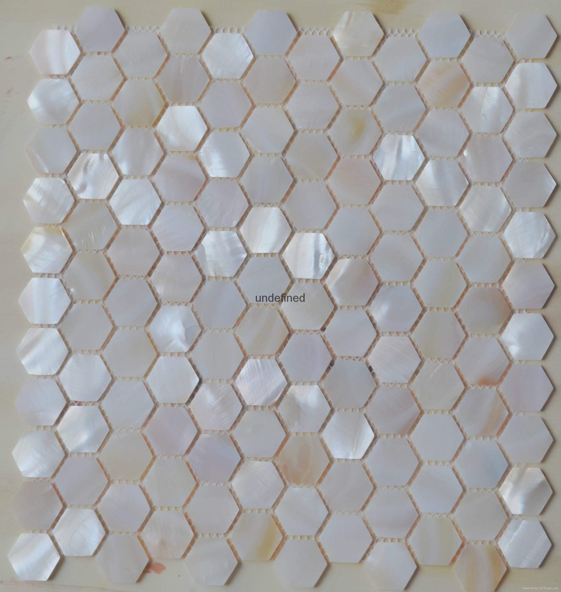 Hexagonal shellmosaic for backsplash  3