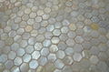 Hexagonal shellmosaic for backsplash 