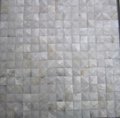 wave pattern shell mosaic tile 4