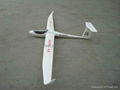 Rc Glider plane Dg1000  1