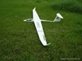 Rc Glider plane Dg1000  3