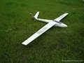 Rc Glider plane Dg1000  5