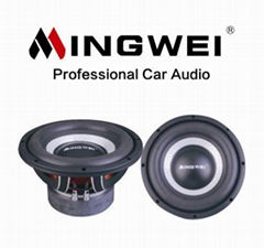 12"Subwoofer speaker