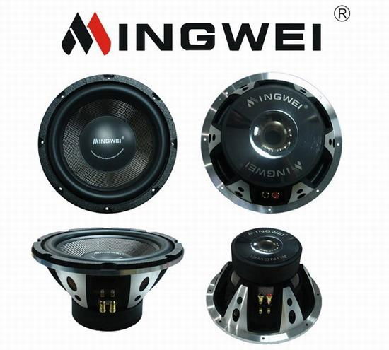 12" Power Subwoofer