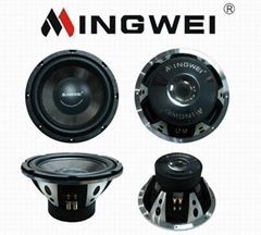 12" Power Subwoofer