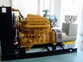 Shanghai Diesel generator 3