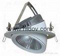 high quality popular 20w Gimbal led downlight 