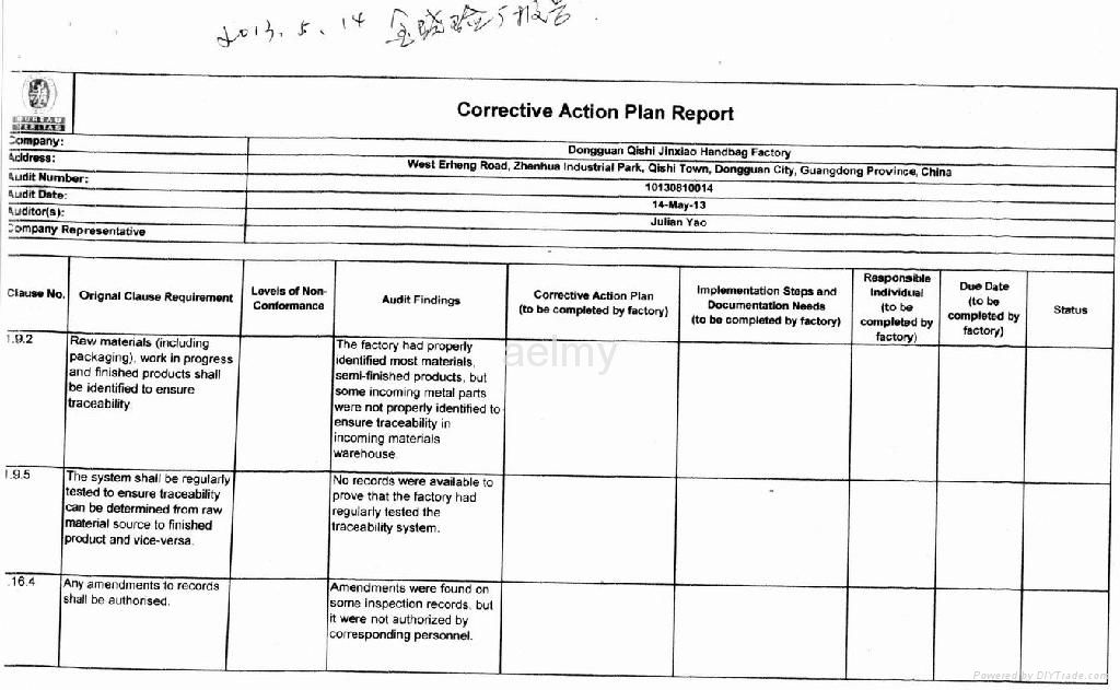 2013  AVON Audit  Report