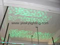LED Mini Gobo Moving Head from China supplier 4