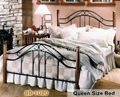 Modern Powder coated Metal Bed 5