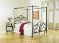 Modern Black Powder Coated Metal Bed with Mosquito Net 2