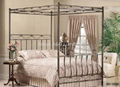 Modern Black Powder Coated Metal Bed with Mosquito Net 3