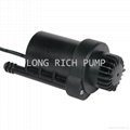 Brushless DC submersible pump