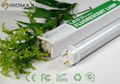 LED Tube 1