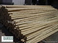bamboo poles and canes