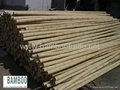 Bamboo poles and bamboo cane 2