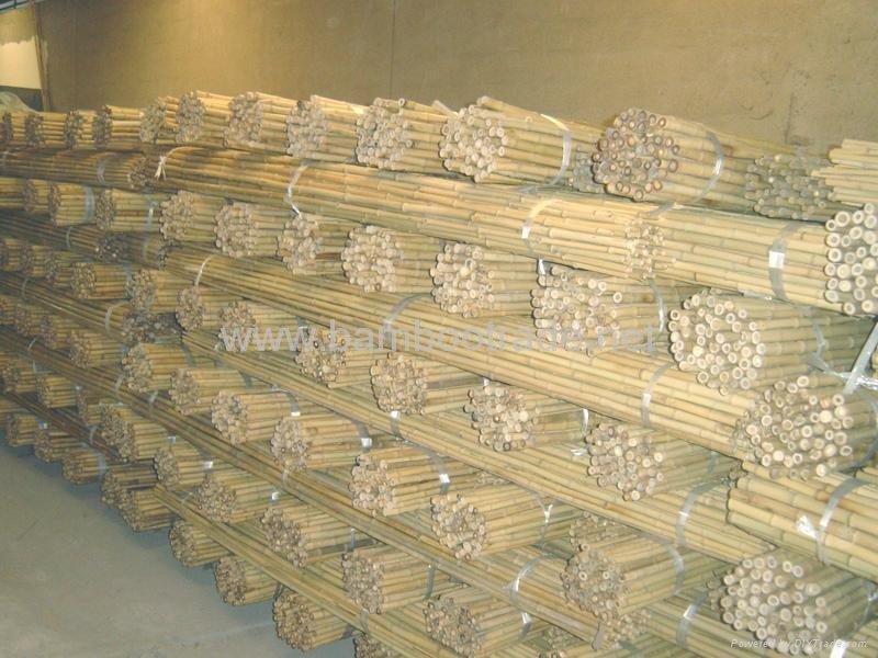Bamboo poles and bamboo cane 3