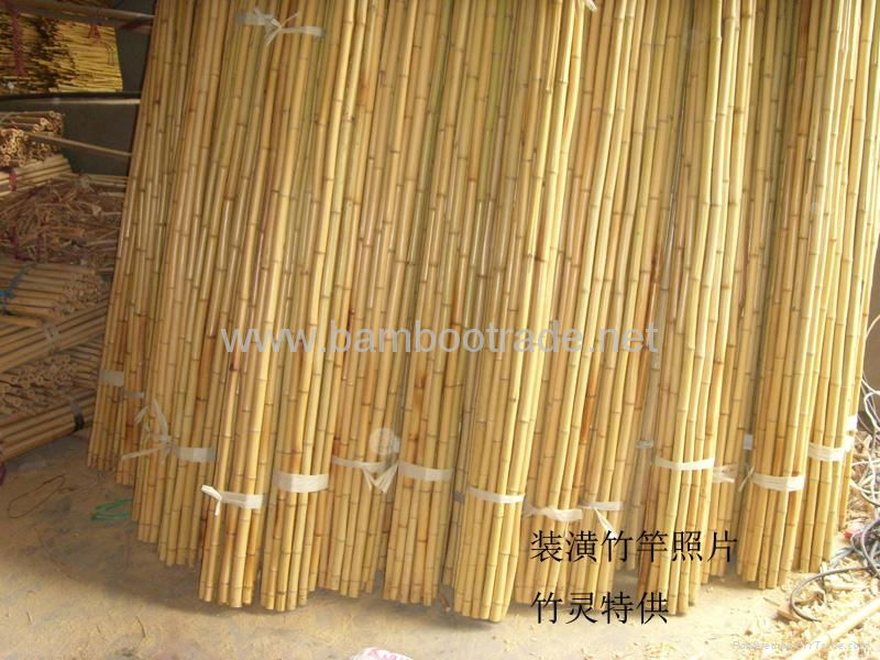 Bamboo poles and bamboo cane 4