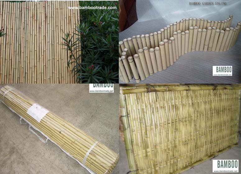 Bamboo fencing (fence)