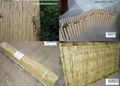 Bamboo fencing (fence) 1