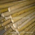 MOSO bamboo poles