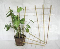 Bamboo trellis