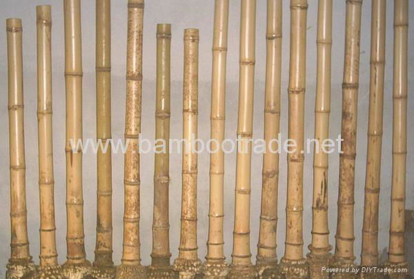 Flute poles