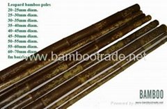 Leopard bamboo poles