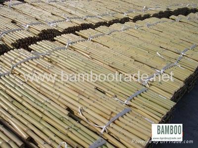 Bamboo Folding Fence with lacquer 2