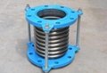 Stainless steel bellows expansion joint 1