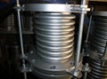 Stainless steel bellows expansion joint 4